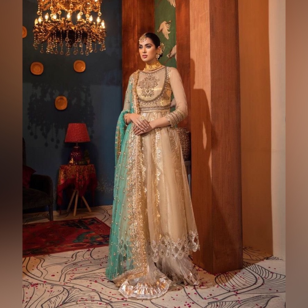 Brand New Pakistani Designer Dress